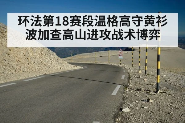 环法第18赛段温格高守黄衫波加查高山进攻战术博弈