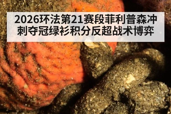 2026环法第21赛段菲利普森冲刺夺冠绿衫积分反超战术博弈