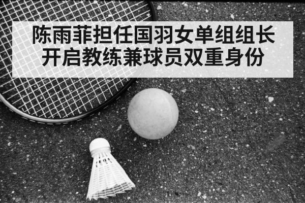 Chen Yufei badminton